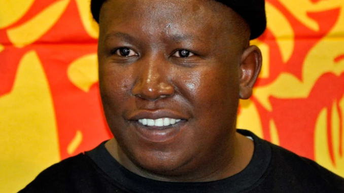 Julius Malema Biography