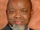 Gwede Mantashe Biography