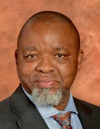 Gwede Mantashe Biography